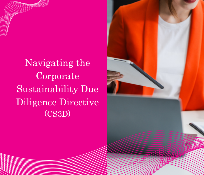 Navigating the Corporate Sustainability Due Diligence Directive_3